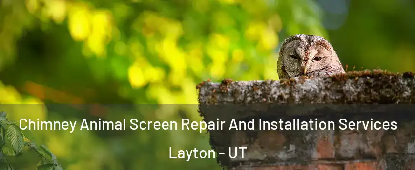  Chimney Animal Screen Repair And Installation Services Layton - UT