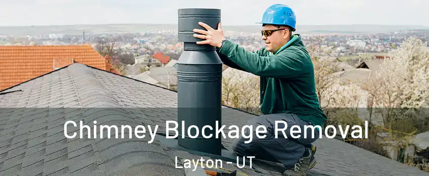  Chimney Blockage Removal Layton - UT