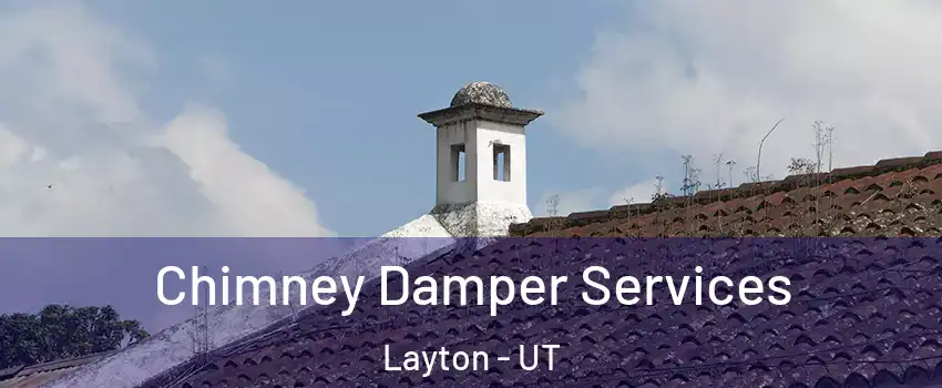  Chimney Damper Services Layton - UT