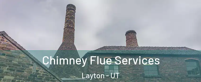  Chimney Flue Services Layton - UT