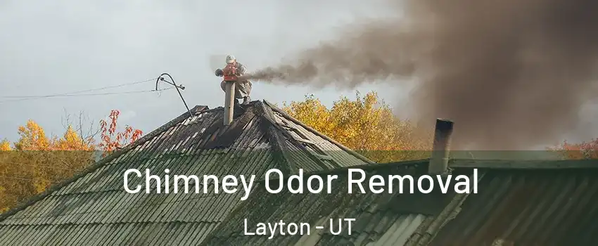  Chimney Odor Removal Layton - UT