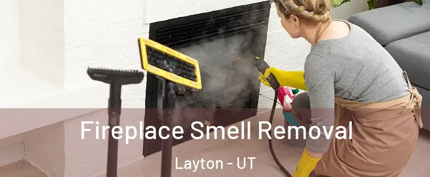  Fireplace Smell Removal Layton - UT