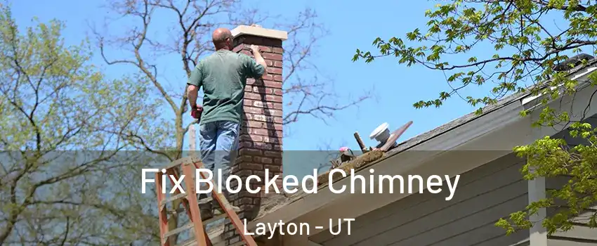  Fix Blocked Chimney Layton - UT