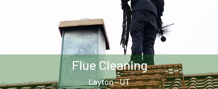  Flue Cleaning Layton - UT