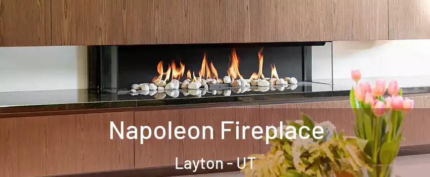  Napoleon Fireplace Layton - UT